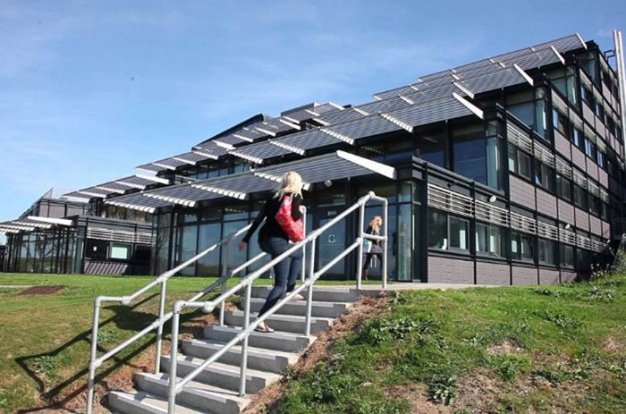 布莱顿大学校景3 布莱顿大学校景3